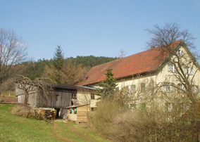 Koenig-Bau-Entkernung-Wohnhaus